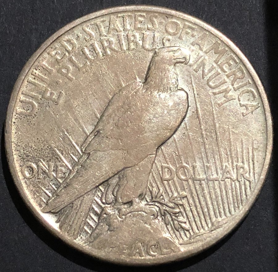 1921-Peace-Dollar-Grading-Opinions