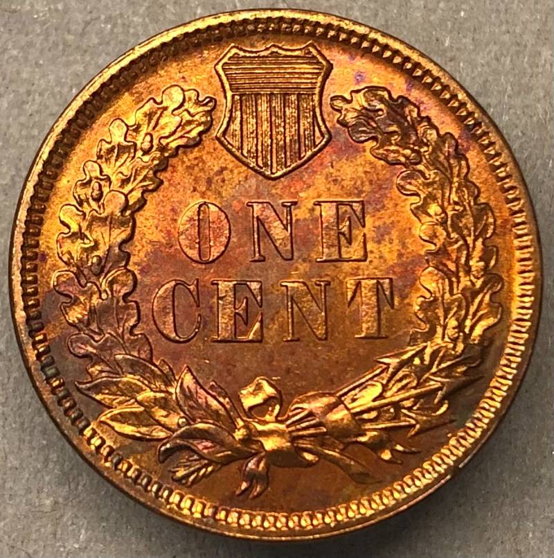 1883-Indian-Head-Cent-Business-Or-Proof-Strike?
