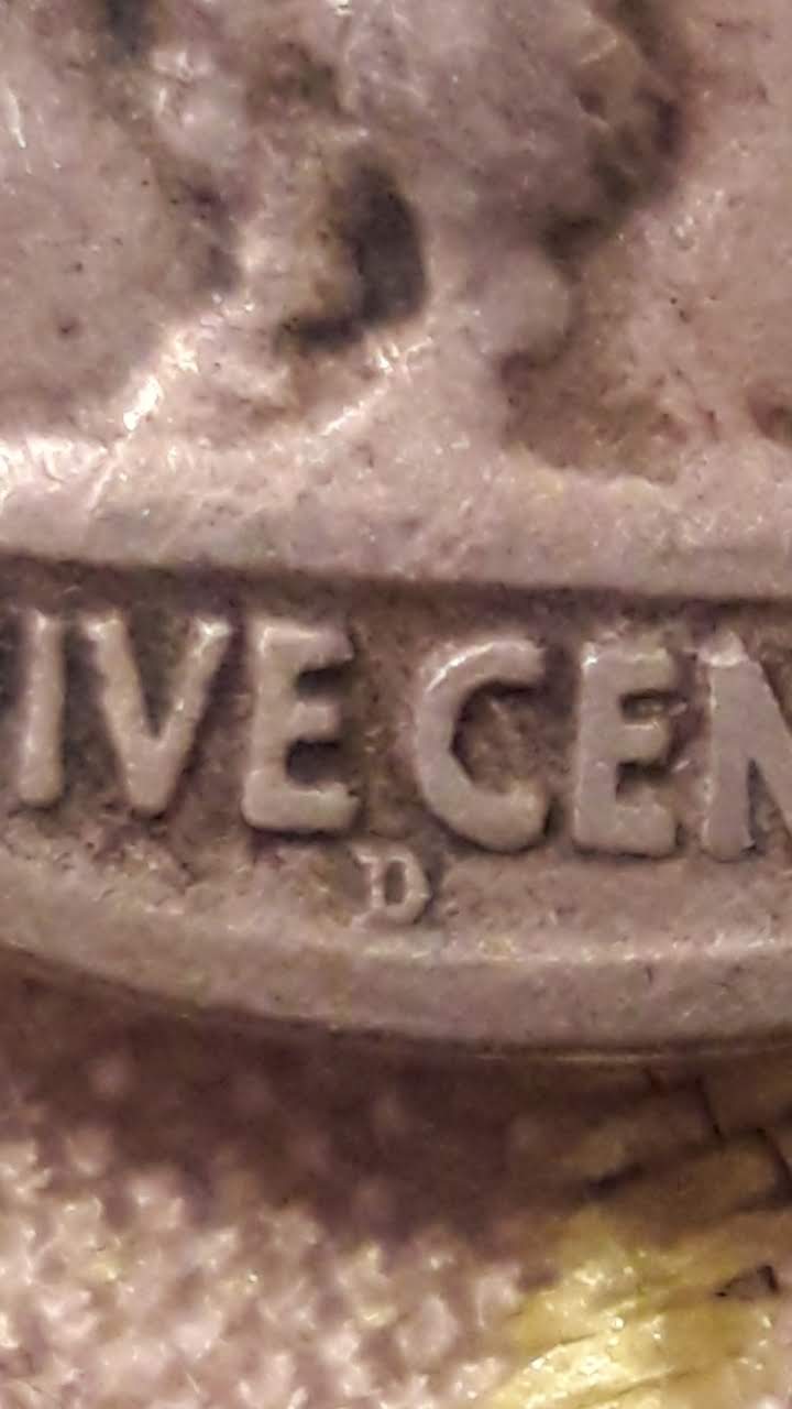 1918/17-D-Buffalo-Identification?