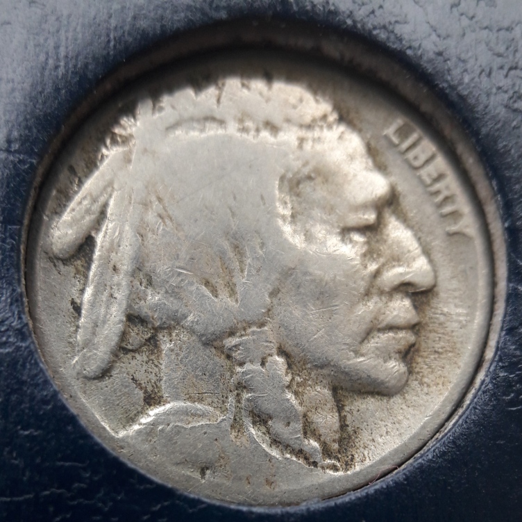 1918/17-D-Buffalo-Identification?