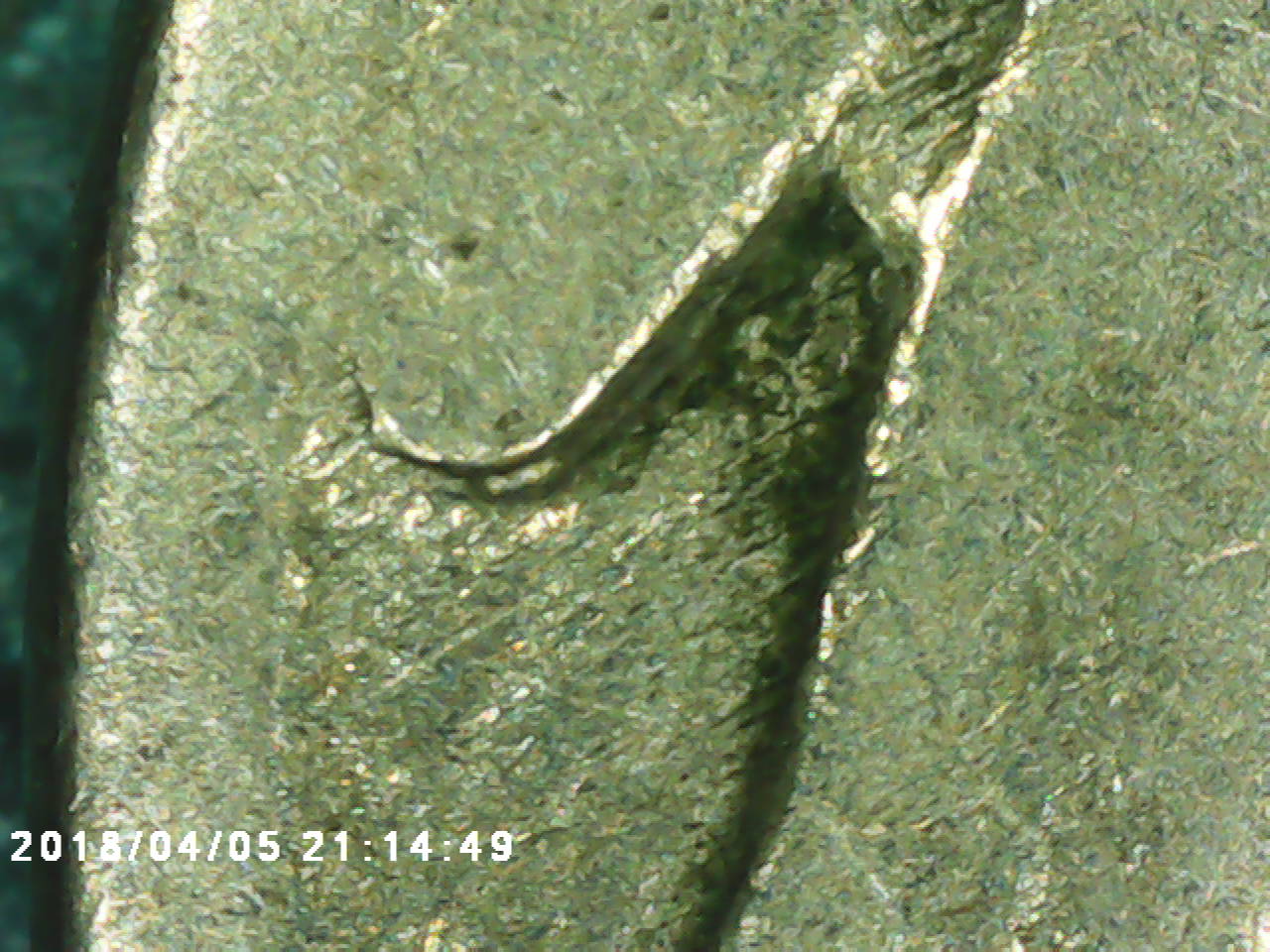 1916-DDO-Buffalo-Confirmation?
