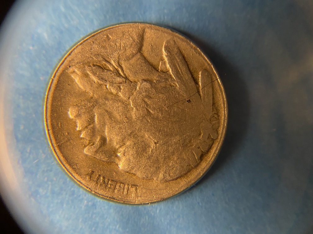 Is-This-A-Buffalo-Nickel-Broadstrike?