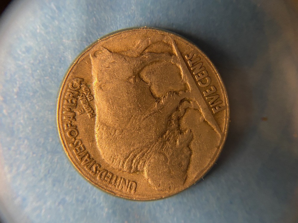 Is-This-A-Buffalo-Nickel-Broadstrike?