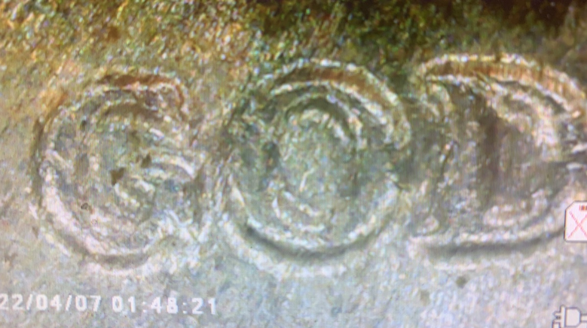 More-DDO-Kennedy-Halves.