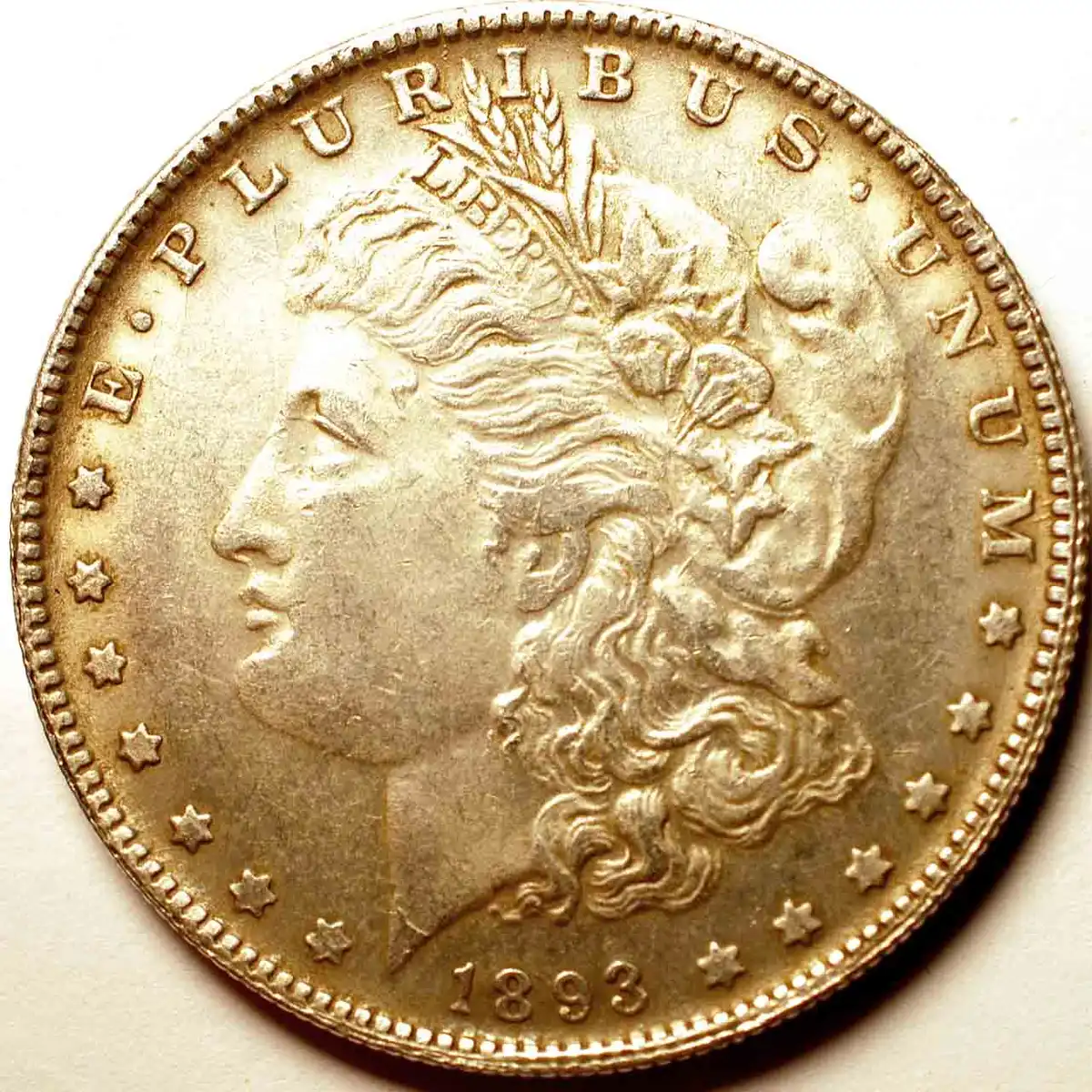1886-S-Morgans-Was-I-Duped?