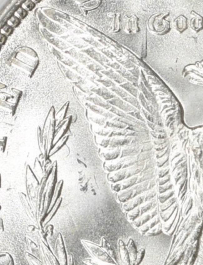 1889-P-Potential-VAM