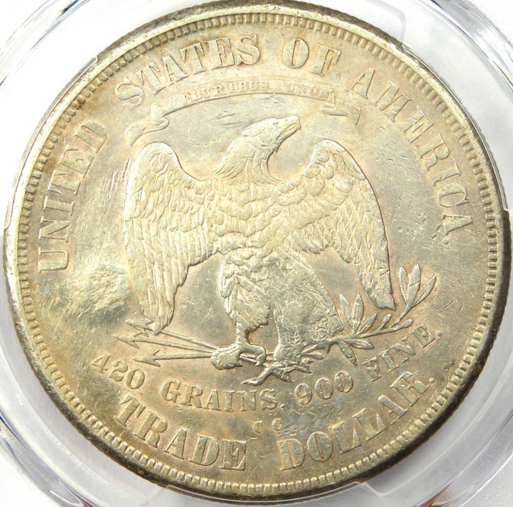 1873-CC-Chopmarked-And-Environmental-Damage