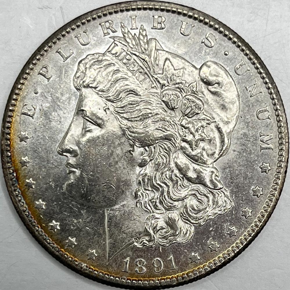 1891-S-Morgan-For-Thoughts