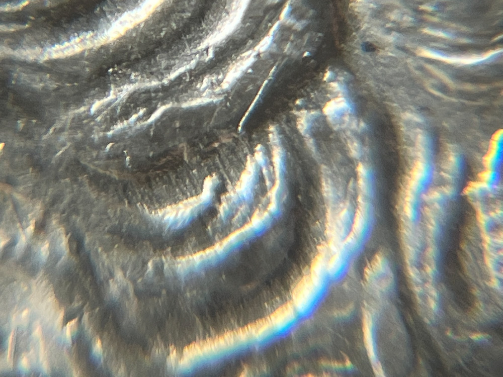 1921-P-Morgan-With-Polishing-Lines