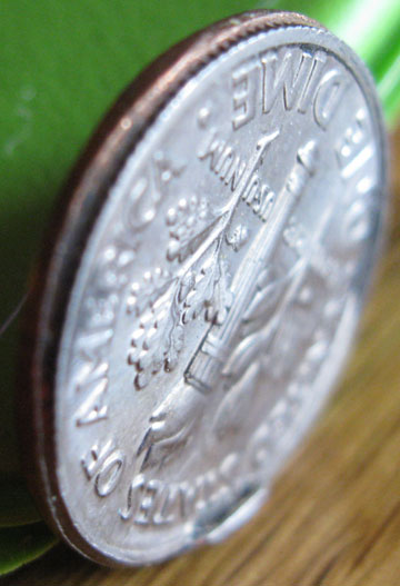 1981-D-Roosevelt-Dime-Error?