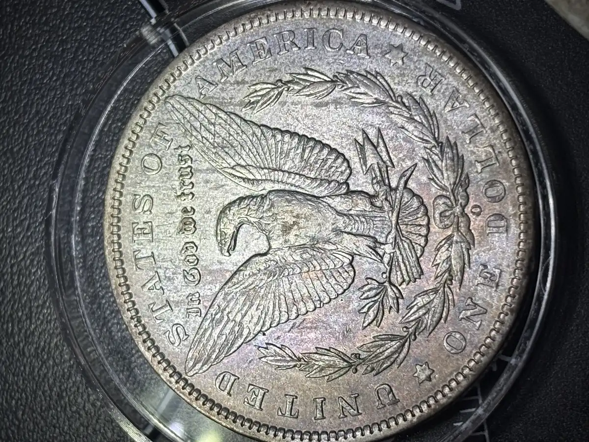1894-O-Morgan-Weak-Strike-Or-Worn-Breast-Feathers