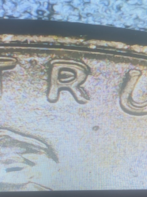 I-Keep-Looking-At-This-2020-Penny-And-I-Know-It's-MD-,-But-Is-It?