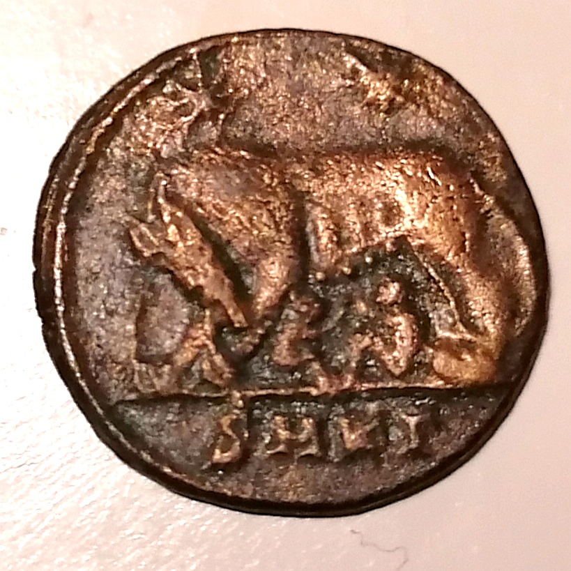My-First-Animal-On-A-Coin.