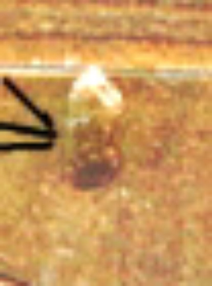 1985-D-Lincoln-Memorial-Cent-With-Possible-Strike-Thrus