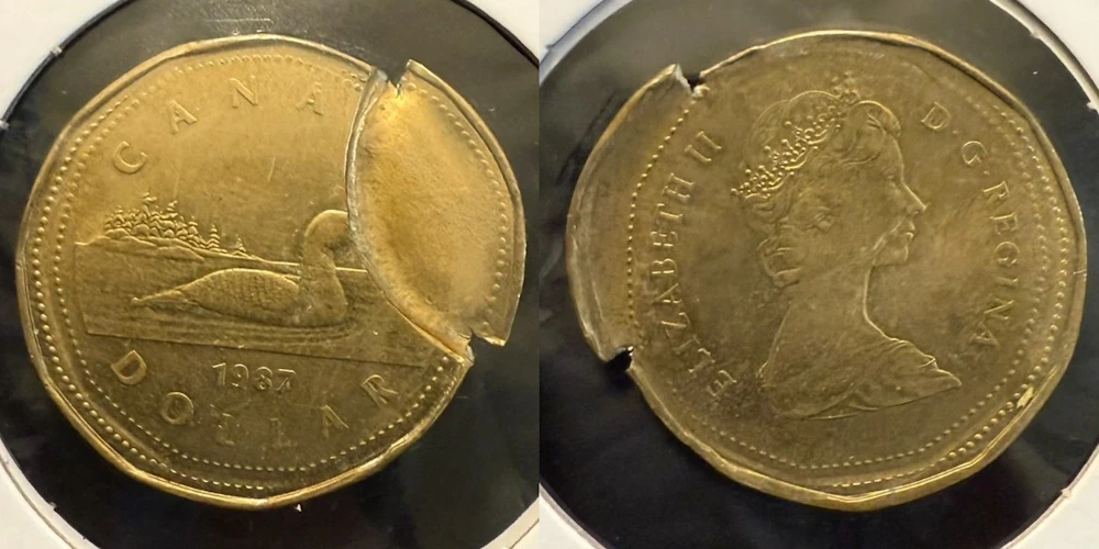Interesting-Loonie-Error-On-Ebay.