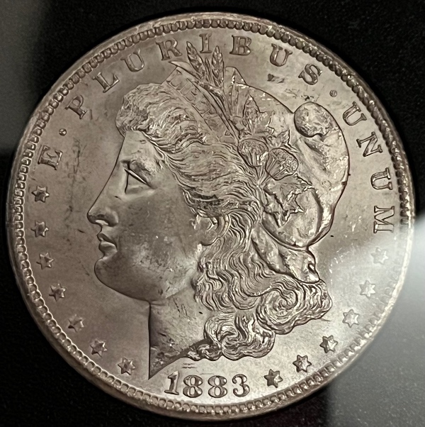 1883-CC-GSA-Morgan-Dollar-Opinions