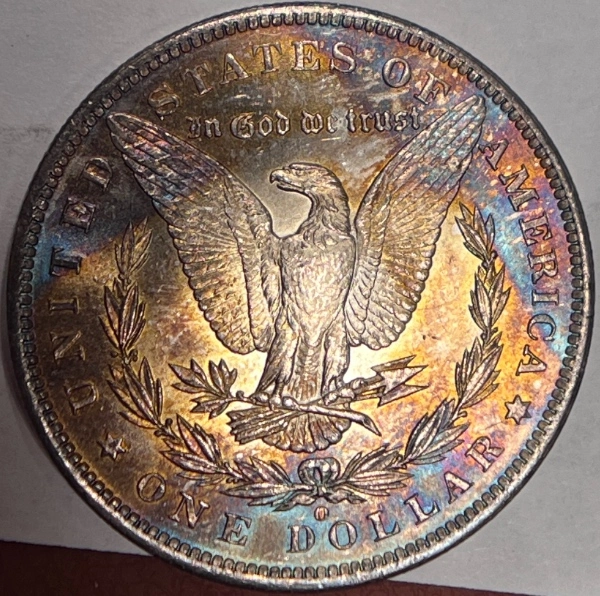 1884-O-Morgan-Dollar-For-Grading