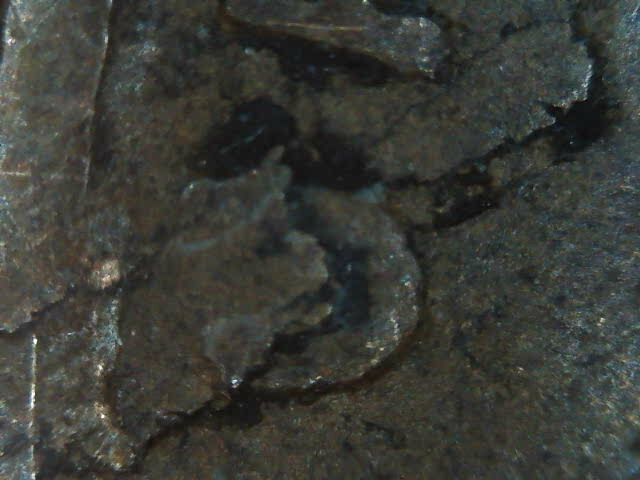 1924-Wheat-Cent---Reverse-Die-Chip-Looks-Like-A-Little-E-In-Big-E