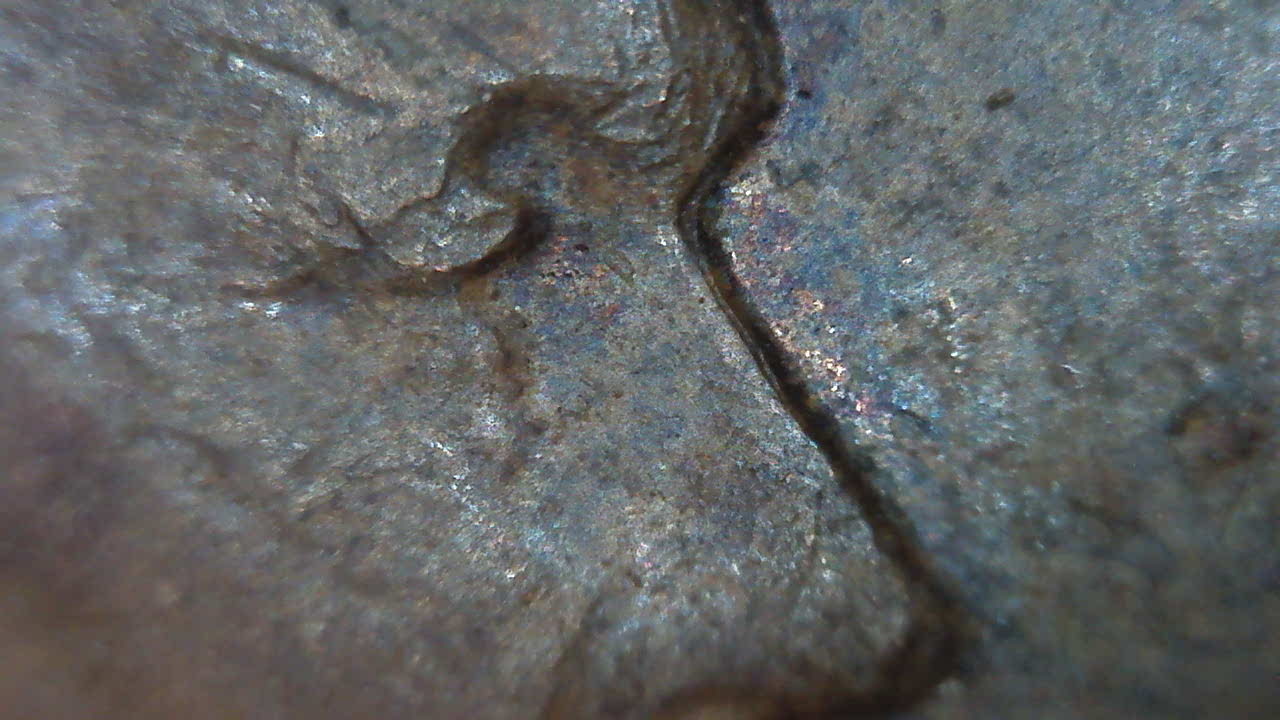 1961-D-Memorial-Penny-DDO?