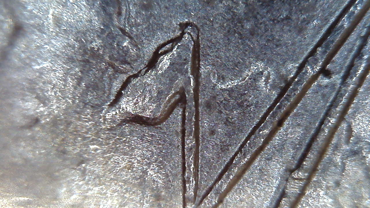 2011-Vicksburg-Quarter-DDR?