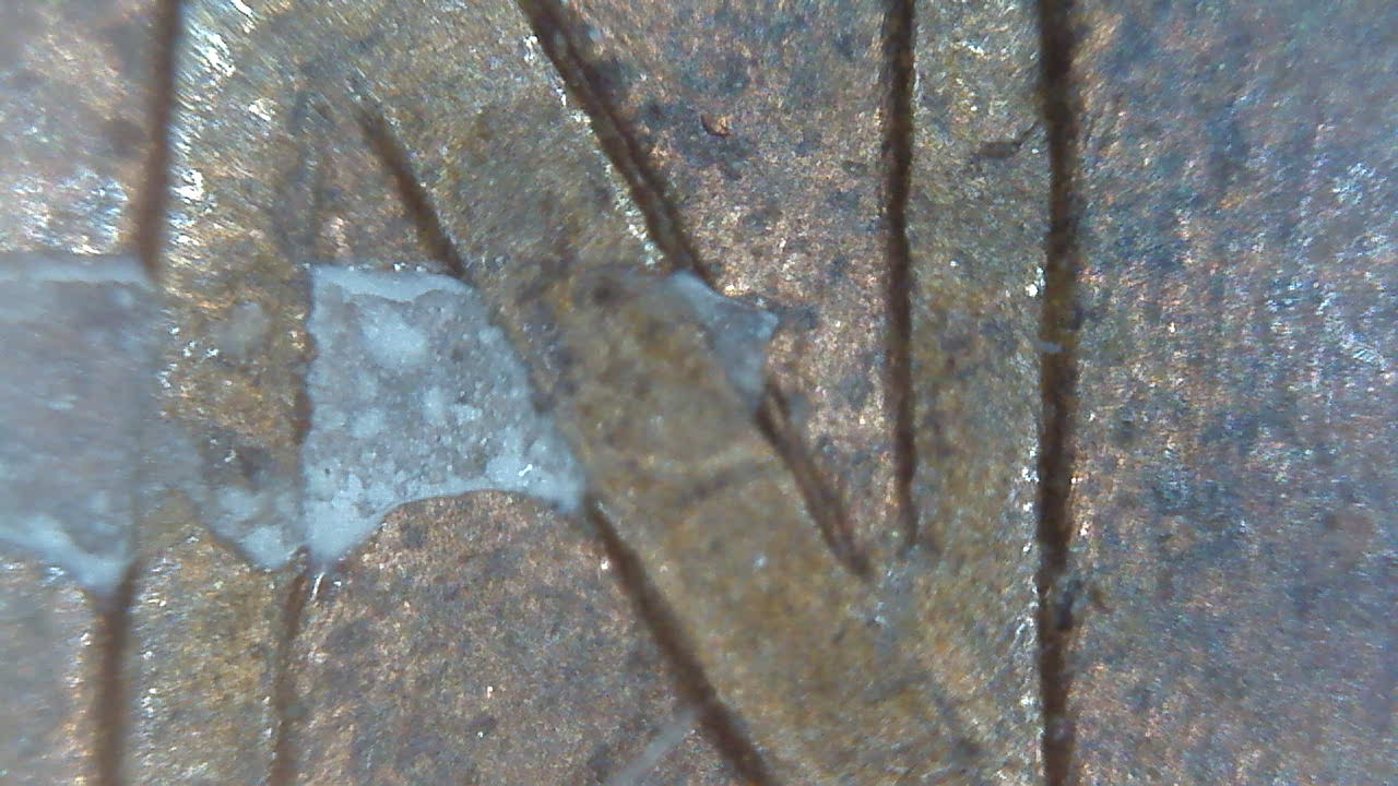 1965-Lincoln-Cent-DDR?