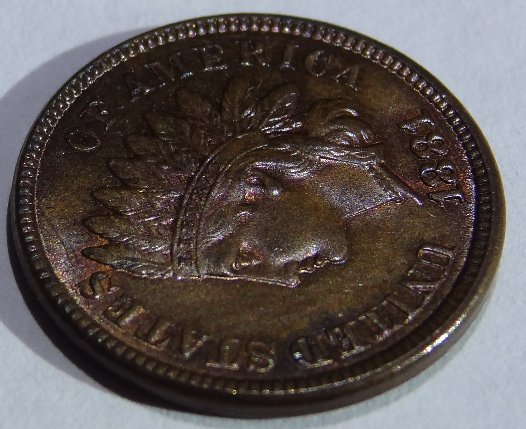 1881-Indian-Head-Cent-Help-Determining-BN-From-RB,-Lots-Of-Pics