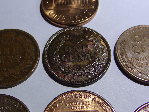 1881-Indian-Head-Cent-Help-Determining-BN-From-RB,-Lots-Of-Pics