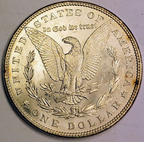 1886-Morgan-For-Evaluation