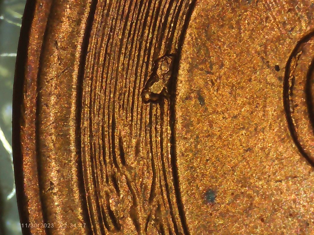1955-S-Cent-Cud,-Retained-Cud-Or-Die-Chip?