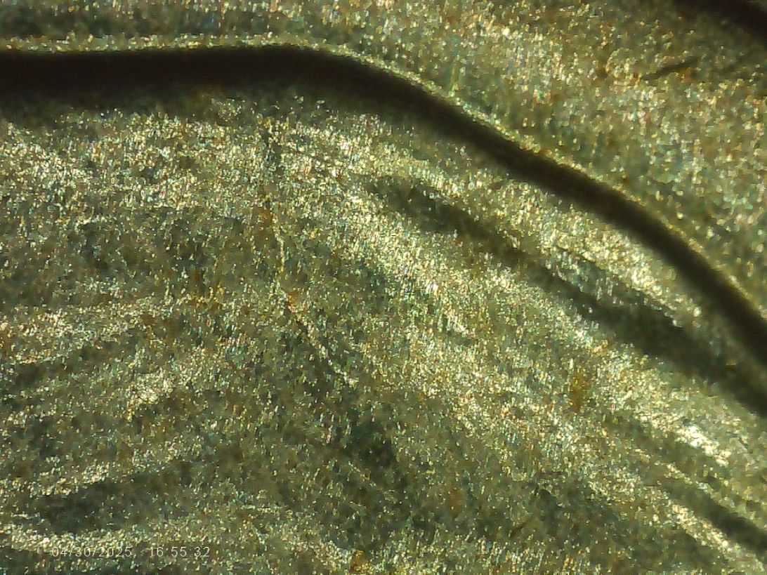 1944-D-Nickel-With-Nice-Steps-And-DDO-001