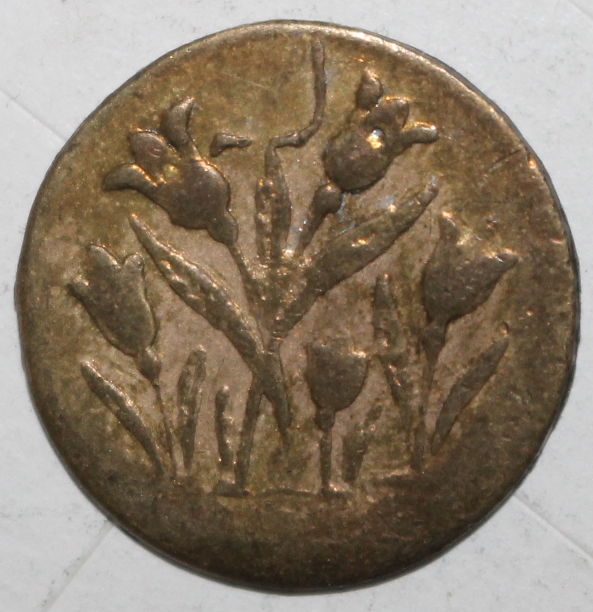 Need-Assistance-Identifying-A-Middle-Eastern-Coin-Id:-Persian-New-Year's-Token