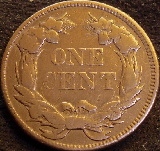 Great-Cherry-Pick-From-Local-Coin-Shop-Snow-8
