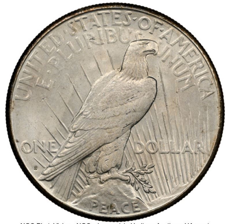 Now-Putting-Together-Peace-Dollar-Set
