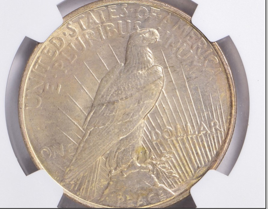 Now-Putting-Together-Peace-Dollar-Set