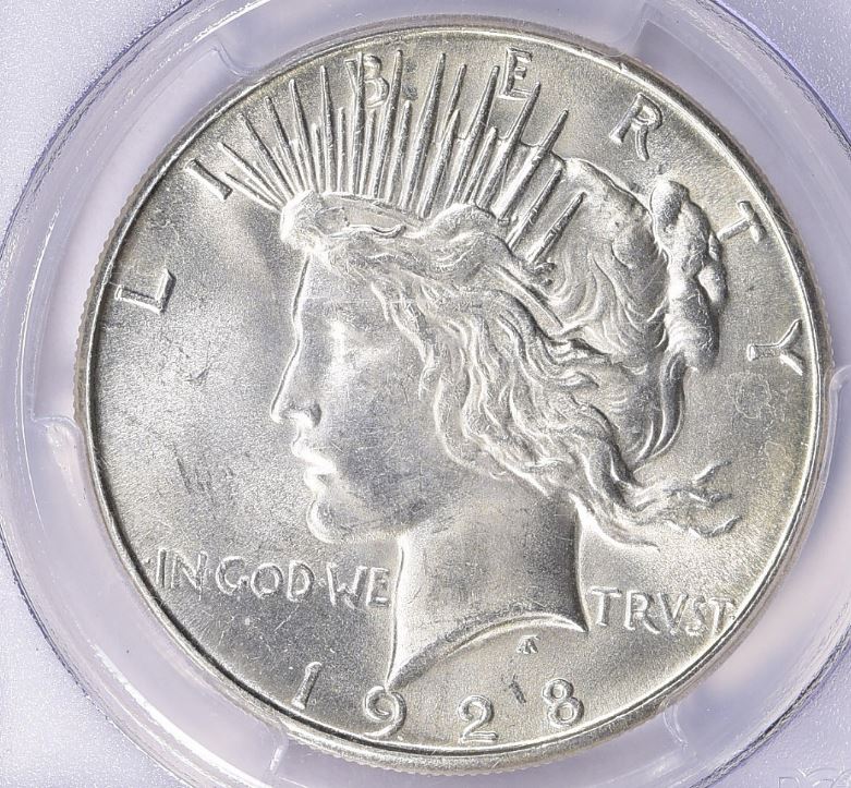 Now-Putting-Together-Peace-Dollar-Set