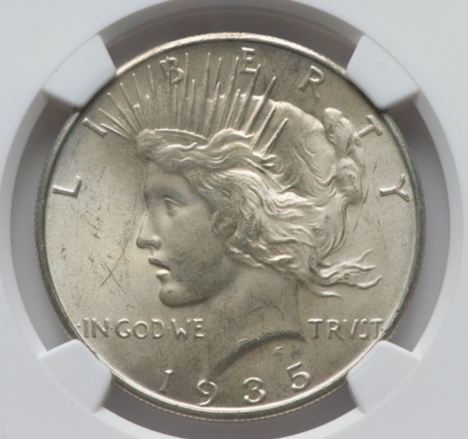 Now-Putting-Together-Peace-Dollar-Set