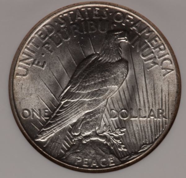 Now-Putting-Together-Peace-Dollar-Set