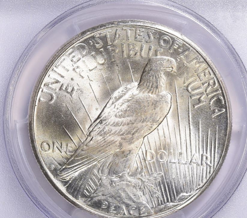 Now-Putting-Together-Peace-Dollar-Set