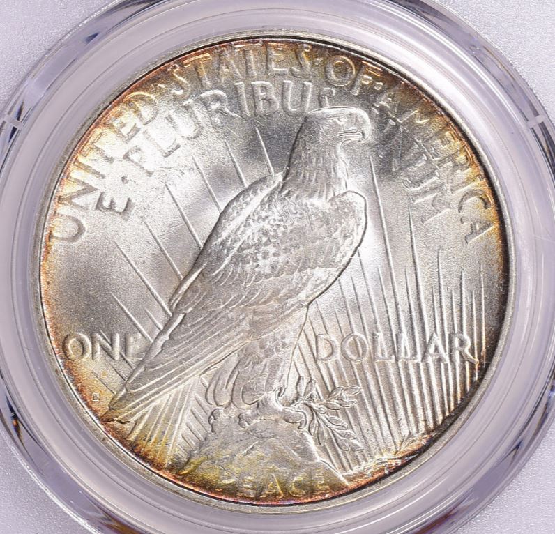 Now-Putting-Together-Peace-Dollar-Set