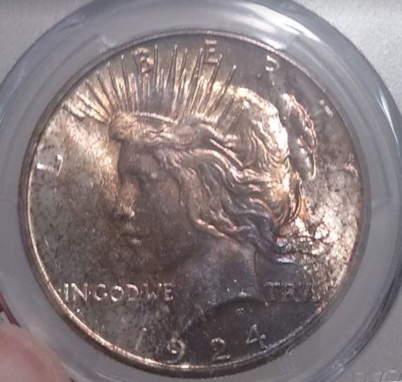 Now-Putting-Together-Peace-Dollar-Set