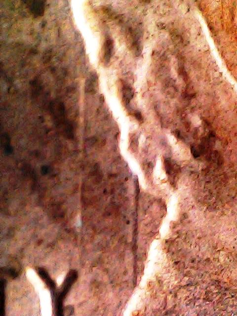 2018-Shield-Cent-Clashed-Die