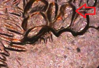 2008-Quarter-Die-Break