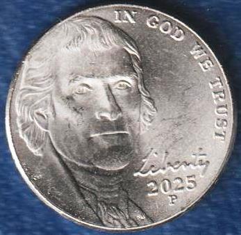 2025-P-Nickel-Die-Chips