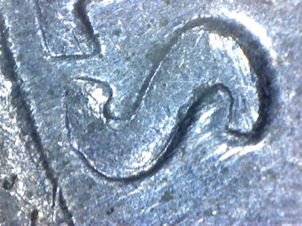 1991-P-Dime-Double-Die-Reverse--New-Discovery-!!-