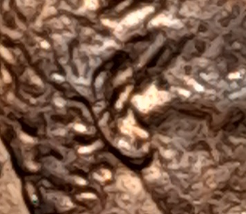 1984-Lincoln-Cent-DDO?
