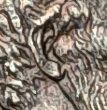 1995-D-Lincoln-Cent-DDO,-Ear?