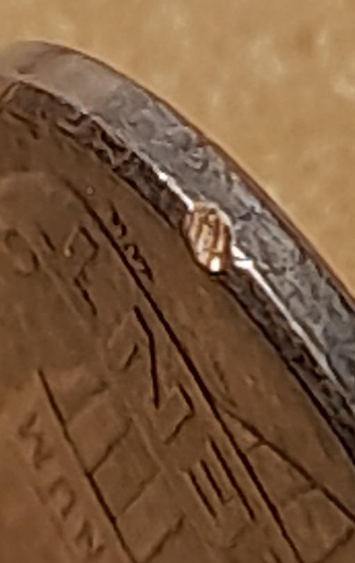 2015-Lincoln-Shield-Cent,-Color-?