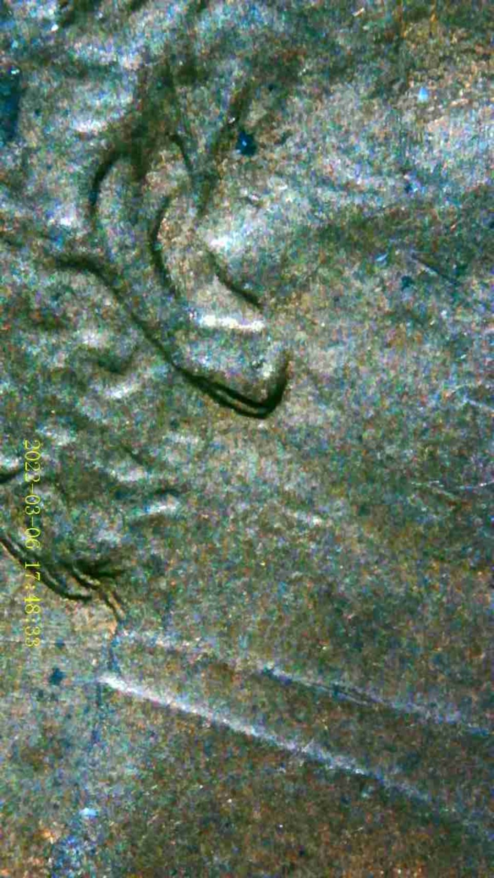 1982-Penny-DDO-Liberty-And-Ear?