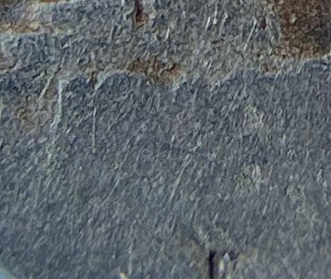 1916-S-Buffalo-Nickel?