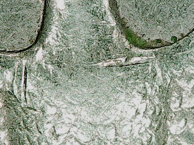 1996-P-Quarter-With-Cracks?-Maybe-Something-Else-On-Eagle-Chest